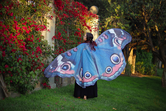 Gorgeous Butterfly & Moth Scarves
