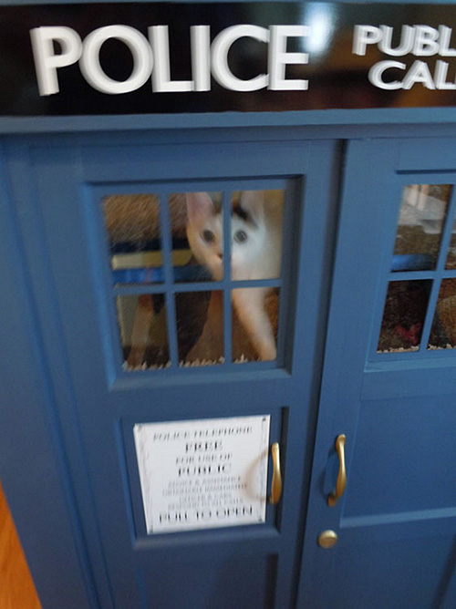 Doctor Who TARDIS Cat Fort