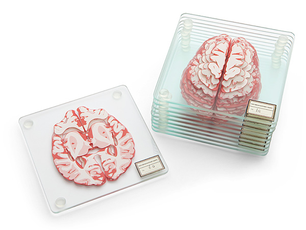Brain Specimen Coasters