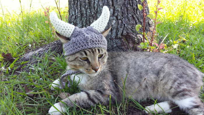 Knitted Viking Helmet for Cats