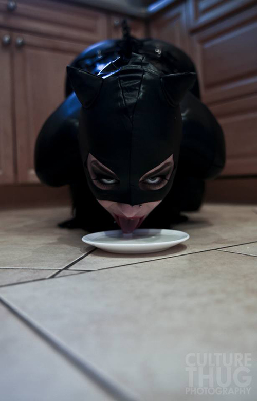 Sexy Catwoman Cosplay