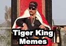 Tiger King Memes