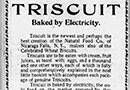 The True Origin of Triscuit Crackers
