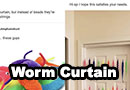 The Saga of the Worm Curtain