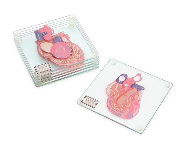 Anatomic Heart Specimen Coasters
