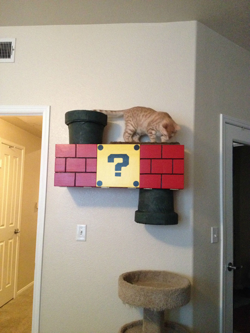 Mario Cat Climber