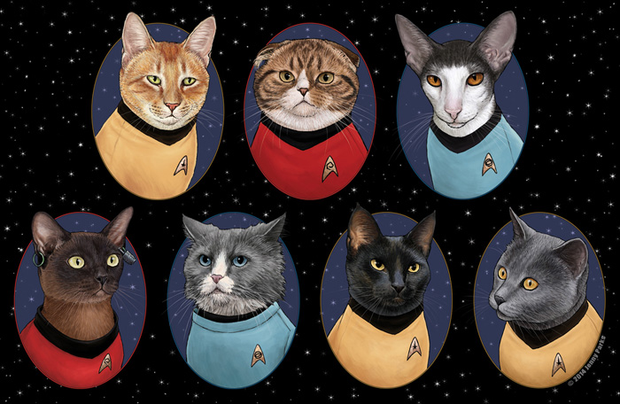 Star Trek Cats Fan Art
