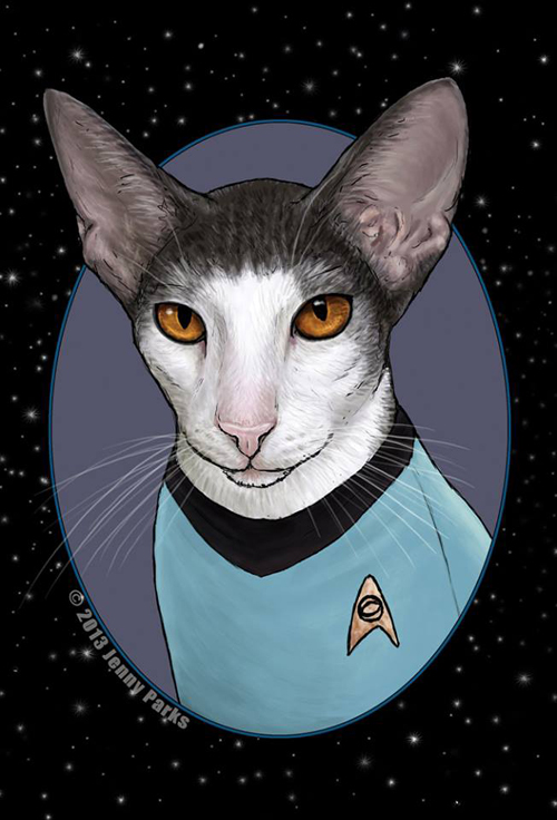 Star Trek Cats Fan Art