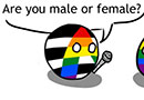 Are You Male or Female?
