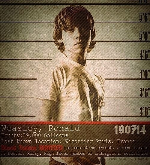 Harry Potter Wanted Posters & Voldermort Propaganda Posters
